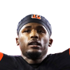 Tee Higgins